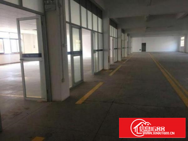 万江标准独院厂房一楼1500平方带精装办公室出租适合塑胶、五