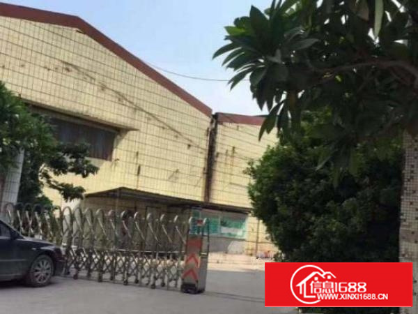 万江万江周边万江石美工业园一楼仓库楼上厂房出租