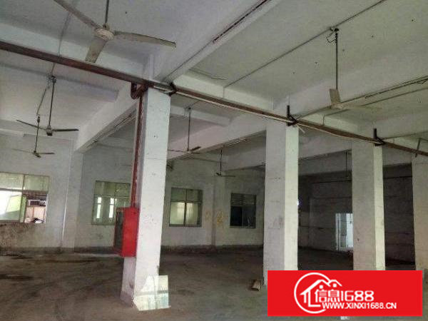 平湖辅城坳工业区一楼标准厂房1000平米精装修招租