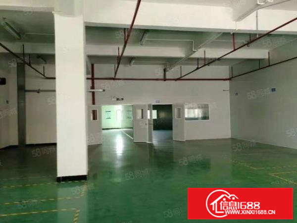 大朗镇新出14800平方独院厂房出租，工业园精装修可分租