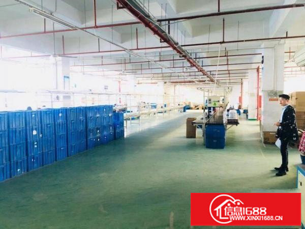 沙井高速路口新出楼上1030平方带装修厂房