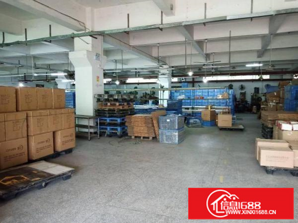 205国道边标准一楼厂房650平出租，有空地