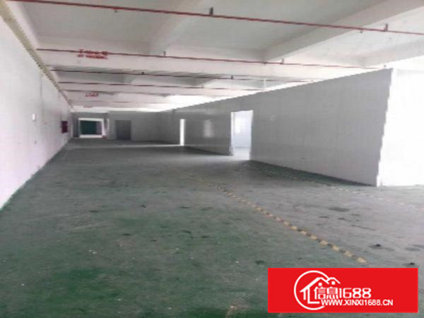 原房东独院厂房1000平方带装修