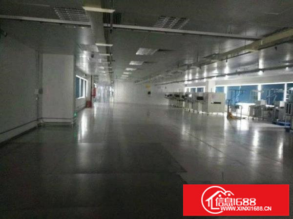 龙岗宝龙新出独院厂房12500平方18块租