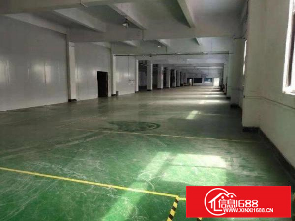 龙溪街道一楼标准850平厂房出租带装修现成水电办公室