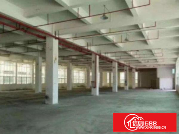 高埗标准厂房楼上2000平方出租带精装修办公室