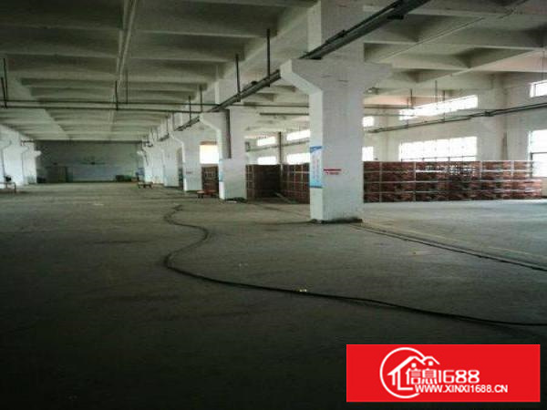 平湖华南城附近新木村一楼800平米招租