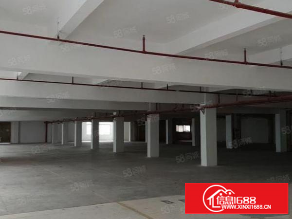 石碣豪华装修厂房出租