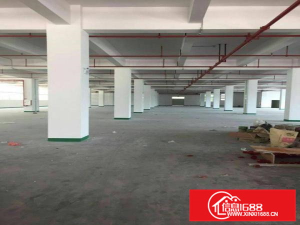 大亚湾大型科技园新出独栋厂房16000平方米招租