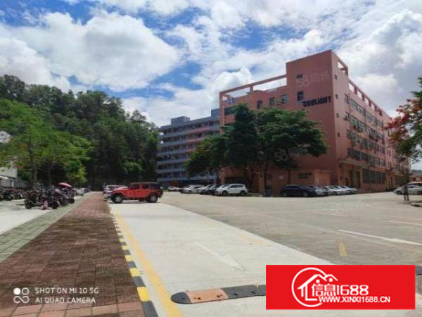 （急租）石岩一手房东500至4000平20元起租