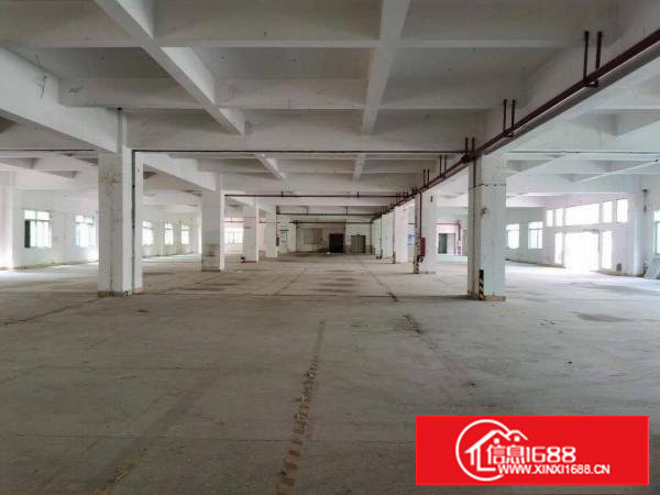 长安镇原房东厂房招租，独院厂房出租