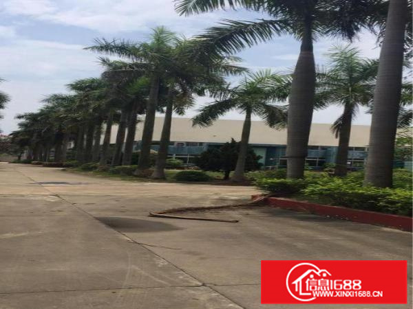 潼侨花园式独门独院厂房.7000平方，可分租，