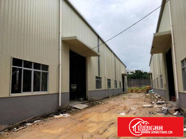 东坑镇自用厂房单一层钢构1600平方出租