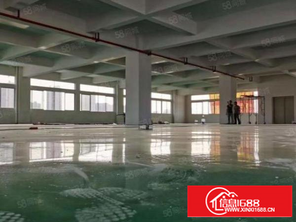 寮步有国双证准标独院面总积34700方可整租可分租