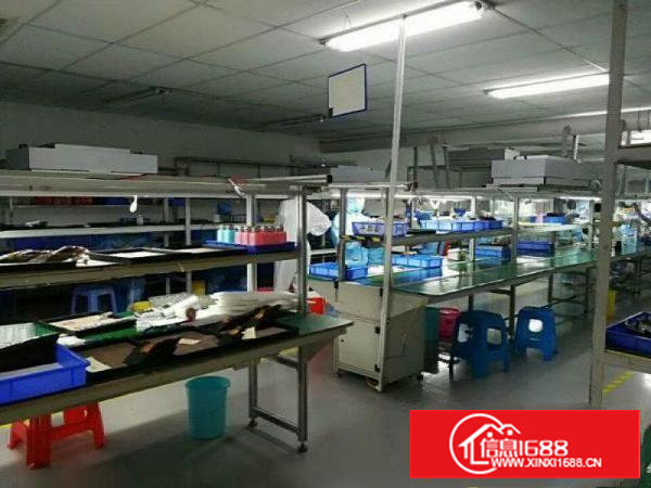 塘厦沙湖新出厂房二楼1500平精装修办公室