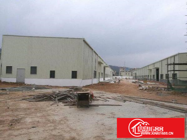 惠阳秋长新出滴水全新9米高钢构共24000平方（可分租）