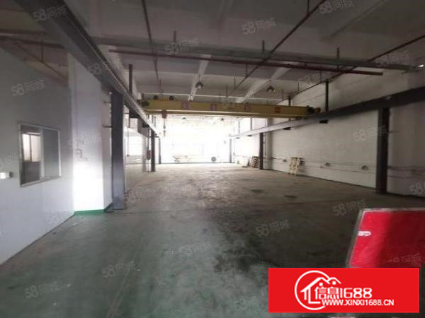 清溪三中新出原房东一楼550平方带装修低价急租