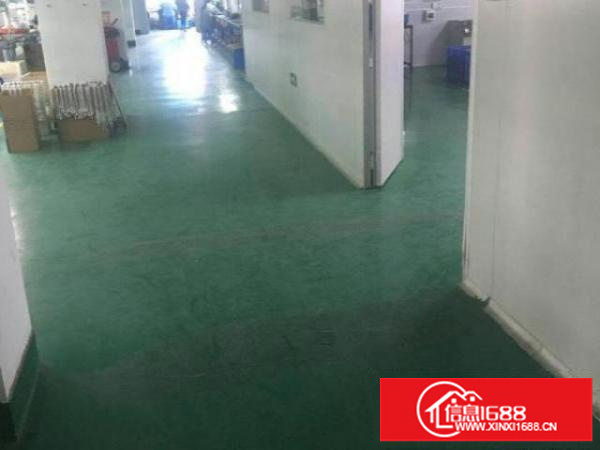 龙璧工业区利金城工业区附近百利路