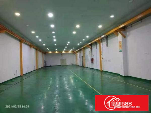 新安新出原房东一楼实际1000平方，报价35000，可谈