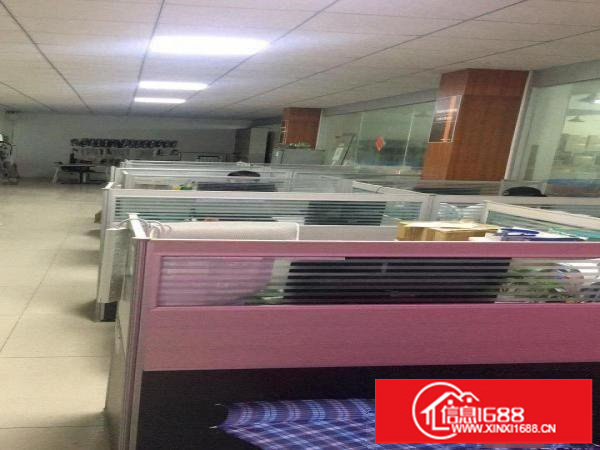 坂田上雪科技园东区10号H栋厂房600平米