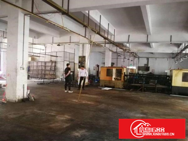 新马莲工业区厂房一楼700平，原房东，可办环评