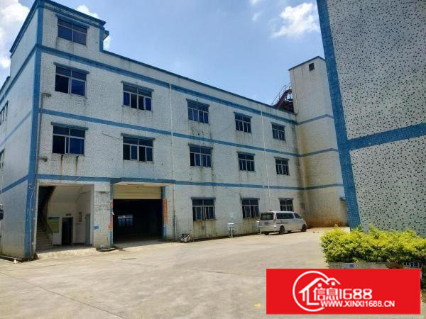 李松朗新出楼上1000平厂房