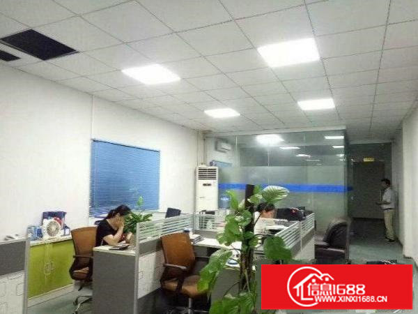 坂田吉华路新房源！空出3楼整层550平方厂房