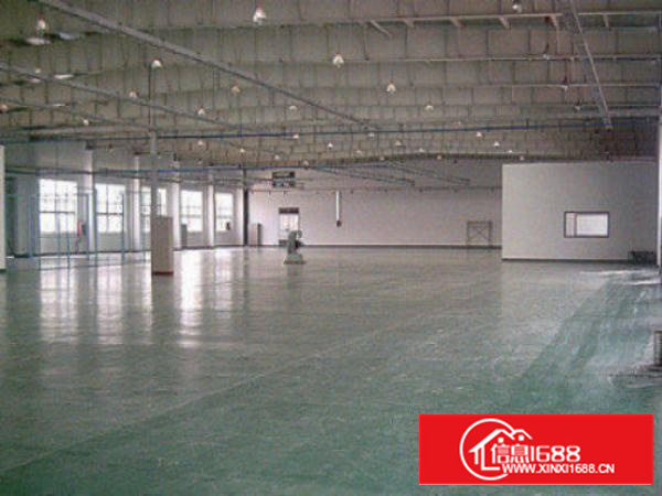 高埗二坊独院标准厂房仓库1300平方招租