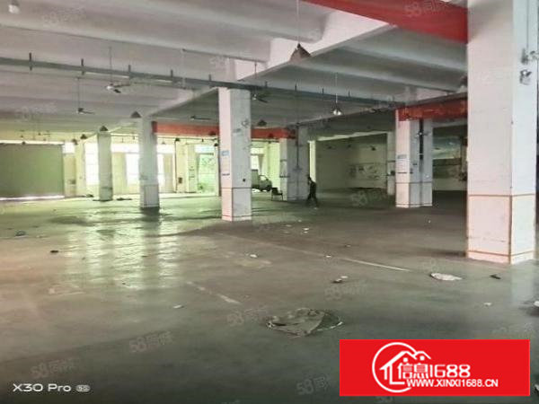 长安镇新安大桥下新出一楼9米高标准厂房