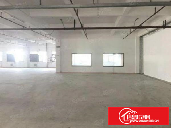 茶山镇新出原房东标准小独门独院厂房3000平方出租