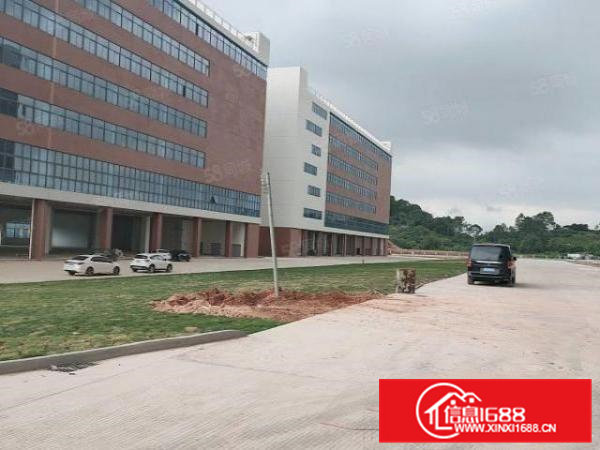 凤岗金凤凰工业区全新标准钢架结构6000平厂房出租，可过环评