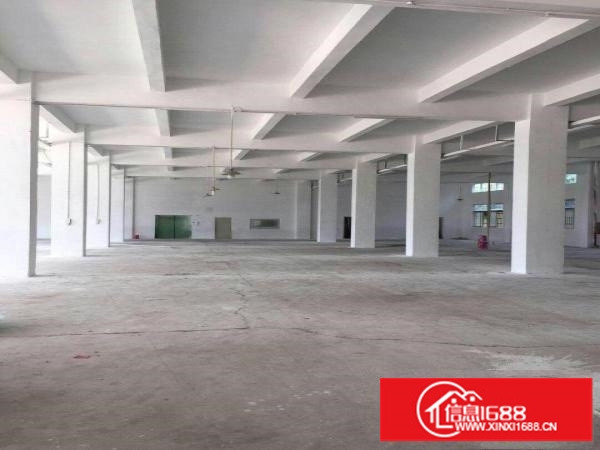 坂田整栋独院可办环评大小分租