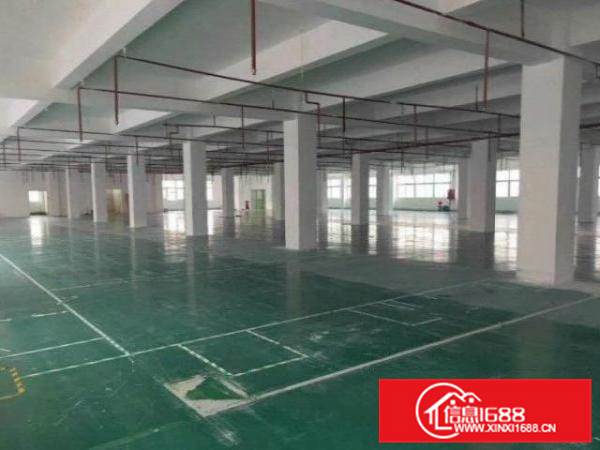 松岗万石800平方厂房便宜出租入驻即可生产