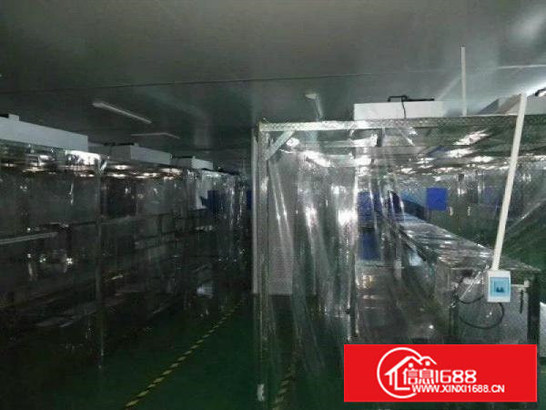 科苑城工业区标准千级无尘车间大小可分租