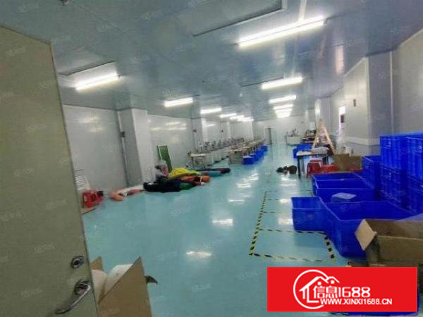 寮步下岭贝工业区原房东无尘车间600平出租带精装修有红本
