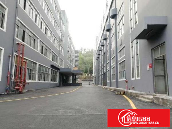 观澜地铁口红本厂房招租