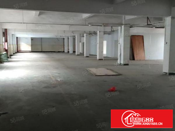 石碣豪华装修厂房出租