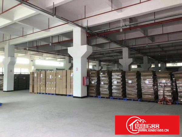 东部快速边消防喷淋牛角位标准厂房15200平方