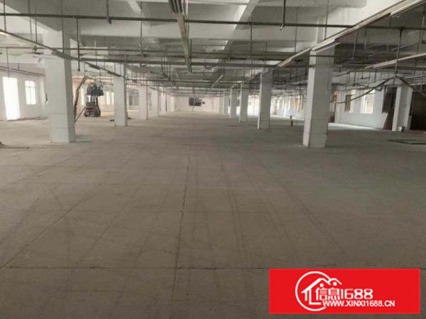 清溪镇新出原房东厂房