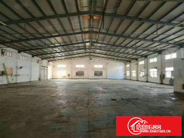 大岭山新出原房东独院钢构仓库厂房2600平方出租