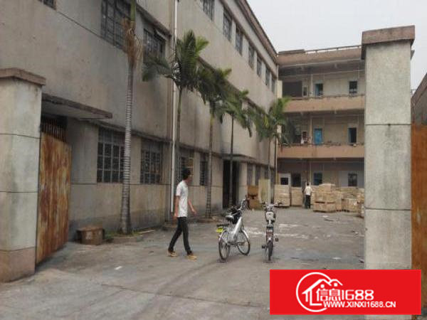 5300m2独院厂房出租可分租最小分租500