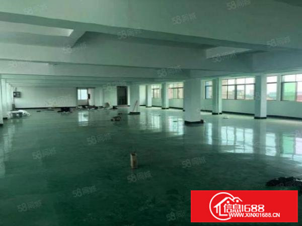 本人厂房大朗松柏朗3层2000平方电梯厂房10元招租