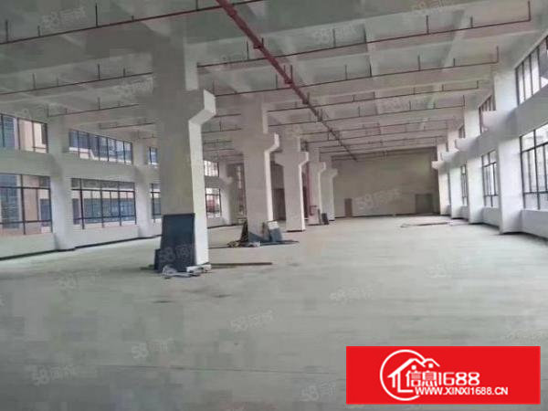 国有证标准独院厂房出租总面积19100平方，形象高大上