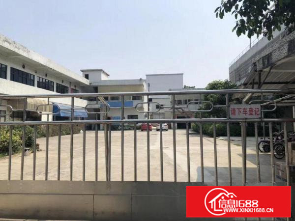 清溪镇新出三中原房东厂房独门独院实际面积3300平方出租