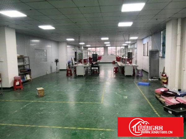 黎贝岭原房东花园式独院厂房3600平方米出租