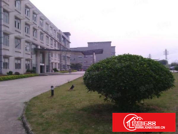 东部快线出口附近全新独门独院厂房出租急租