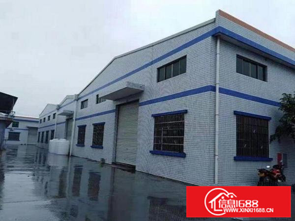 赤岗工业区原房东独院单一层700平方现成办公室