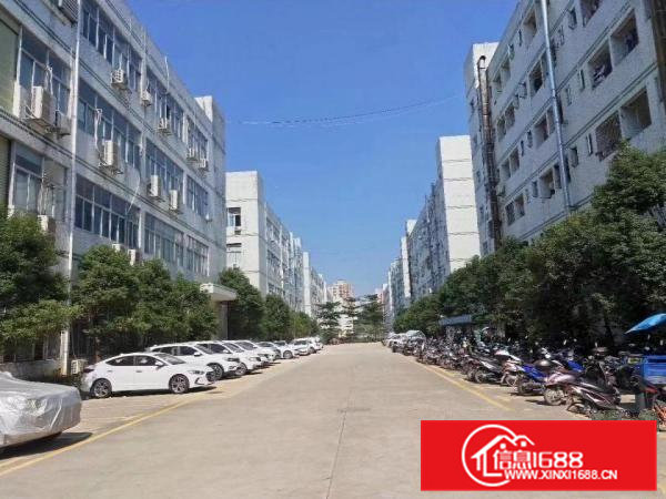 常平土塘新空出工业园内一楼800平方厂房（6米高，实用装修）