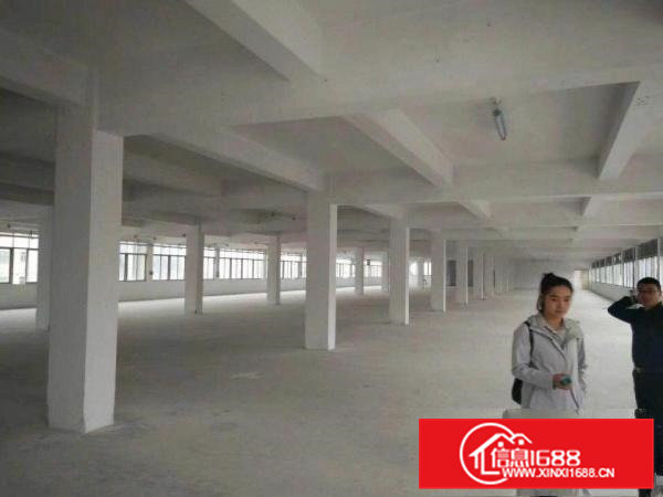 常平（原房东独栋）一二楼1000平米出租