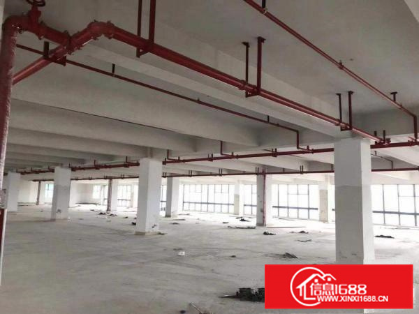 惠阳邻深片区原房东新建高薪产业园招租价格实在无公摊